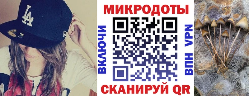 Галлюциногенные грибы мухоморы Обоянь